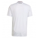 Ajax Tricou Fotbal Replică 2024-25 Barbati Treilea